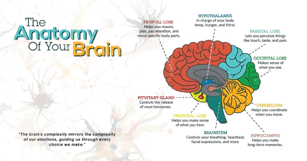 Apa itu Neurosains, dan Bagaimana Memahami Otak Kita